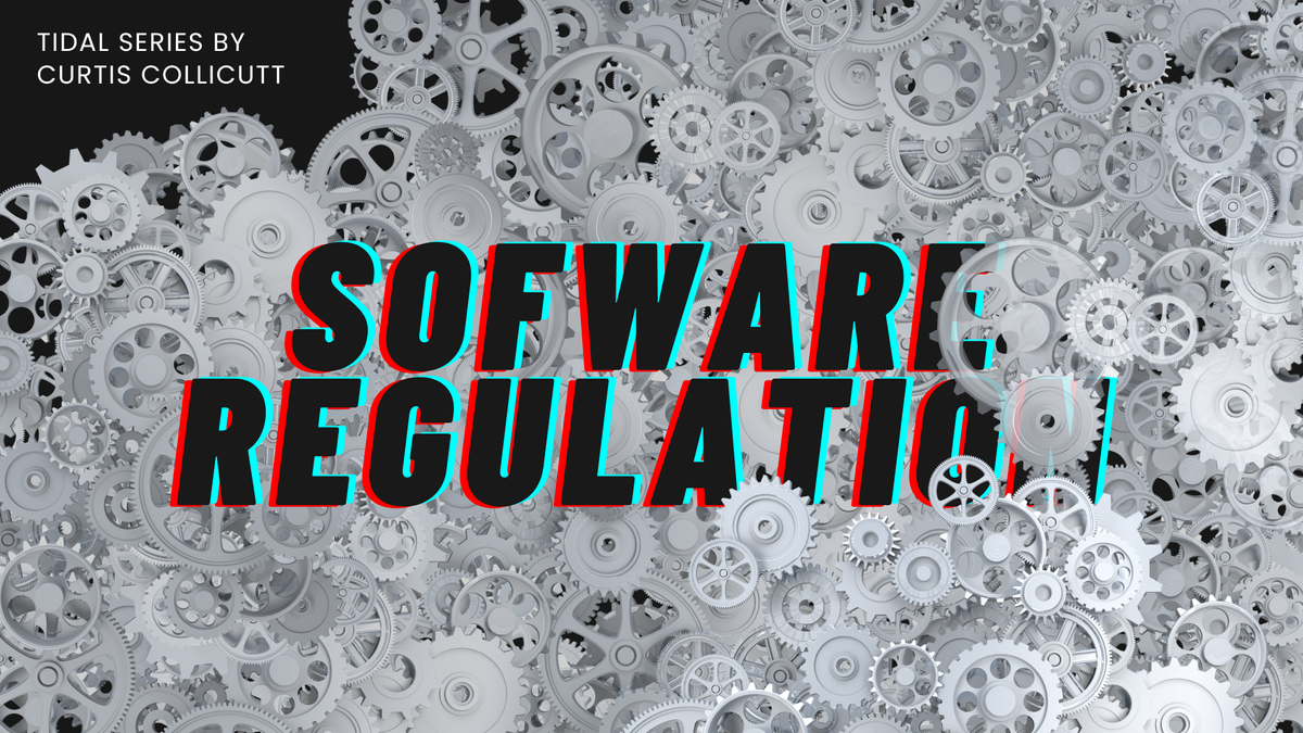 Is Software Regulation Coming?