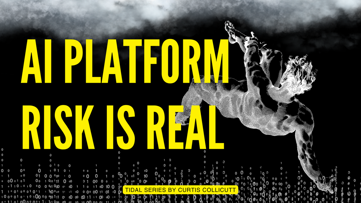 AI Platform Risk is Real